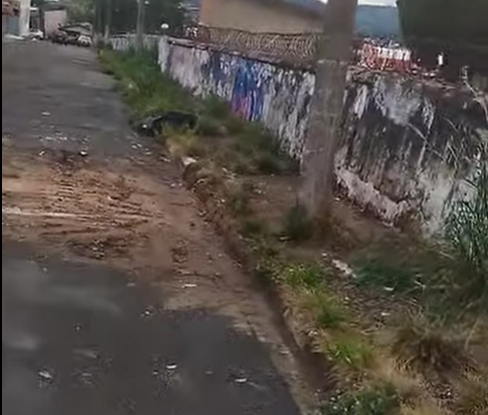 Tiraram o entulho, mas o mato continua!